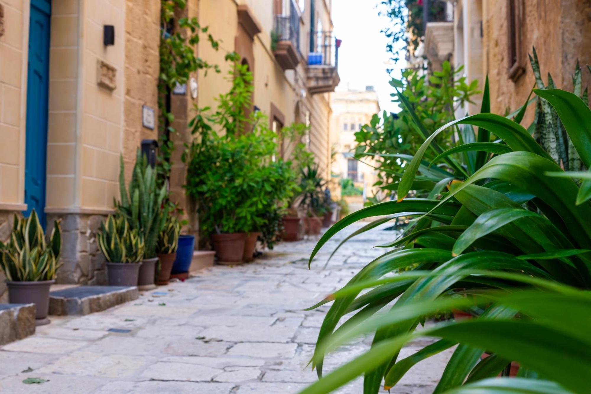 Great Siege Apartment Senglea Zewnętrze zdjęcie